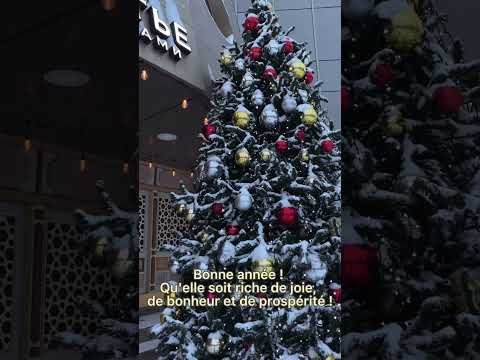 Как поздравить с Новым годом на французском языке? Как поздравить с Новым годом на французском языке?