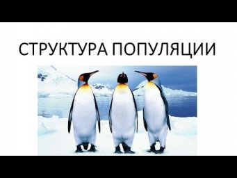 Популяция и ее структура