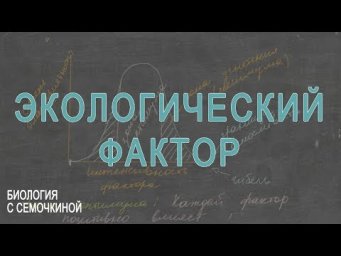 Экологический фактор