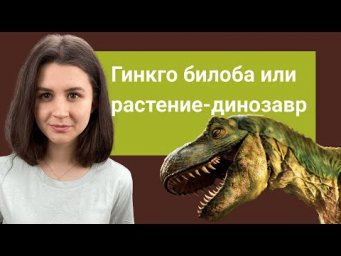 Гинкго билоба