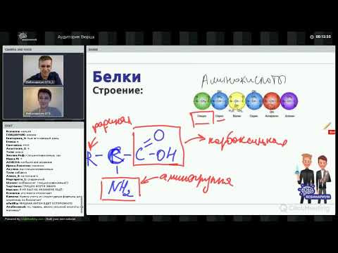 23 сентября. Парный вебчик Вюрц и Гис. Белки, жиры и углеводы