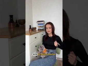 Lo siento y Perd&oacute;n -  это одно и то же?