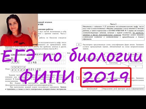 Вариант ЕГЭ по биологии ФИПИ 2019