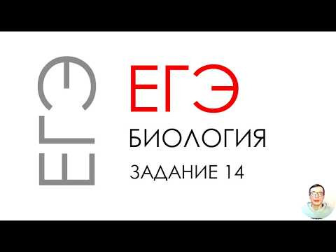 ЕГЭ биология 2020 Задание 14 Рохлов разбор