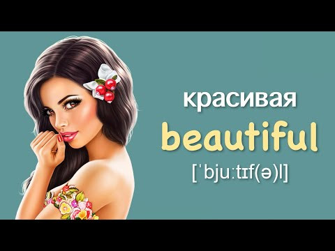 Лучший словарь для начинающих с картинками Лучший словарь для начинающих с картинками