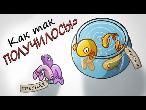 Парадокс разнообразия пресноводных рыб [Минутка Земли]