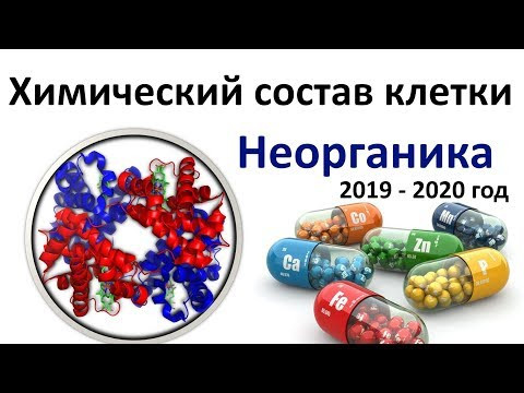 1. Химия клетки часть I (9 или 10-11 класс) - биология, подготовка к ЕГЭ и ОГЭ 2020