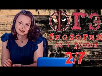 Все ОГЭ биология 2018 за 7 уроков. 2/7.