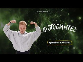 ФОТОСИНТЕЗ | Целевой экзамен