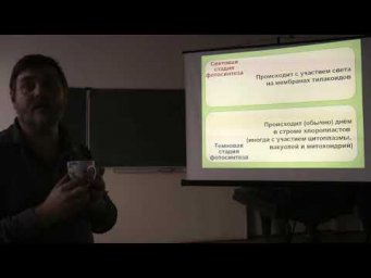 Физиология растений. Часть 1. Чуб В.В. 08.11.2014 edit