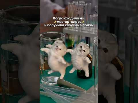 Ждём вас на наших мастер-классах 10 августа! тгк: alles_science