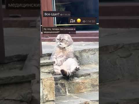Устали? А ведь еще поступление 