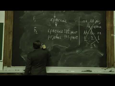 Решение задач по генетике. Часть 3. Асеев В. В. 8.11.2014 edit