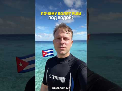 Почему болят уши под водой?! #биология #научныеистории Почему болят уши под водой?! #биология #научныеистории