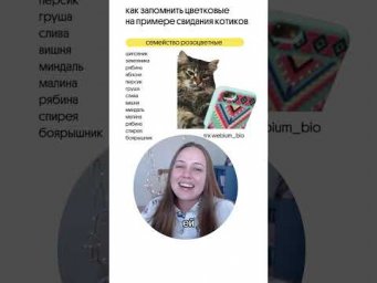 лайфхак по запоминаю цветковых часть 3