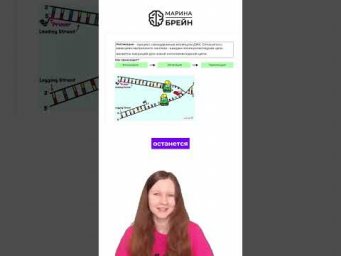 Зачем клетка копирует ДНК тгк: Марина Брейн #егэ2027 #егэбиология