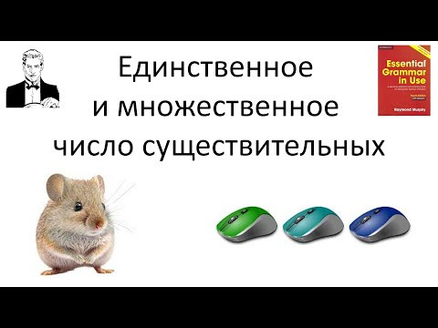 Единственное и множественное число существительных. Singular and plural. Единственное и множественное число существительных. Singular and plural.