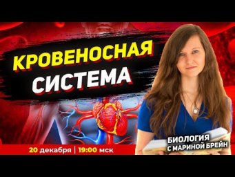 КРОВЕНОСНАЯ СИСТЕМА | ЕГЭ | ОГЭ + ПРАКТИКА