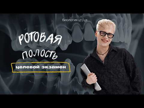 РОТОВАЯ ПОЛОСТЬ | Целевой экзамен