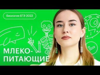 Млекопитающие | Биология ЕГЭ с Альбиной Амировой