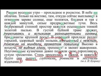 9 класс РЯ 3-я неделя. Разбор ДЗ