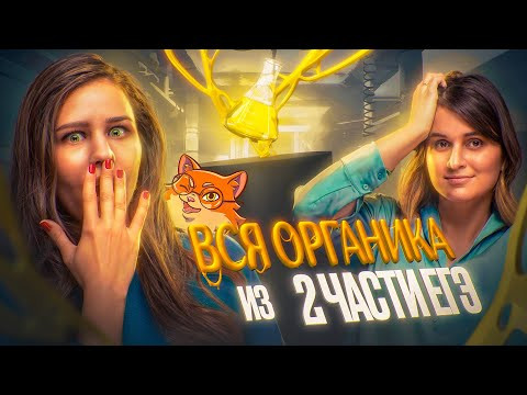 Вся органика из 2 части [7] | Интенсив подготовки к ЕГЭ по химии | Степенин и Дацук