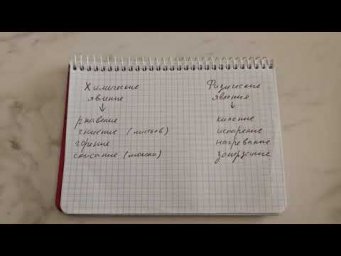 Физические и химические явления