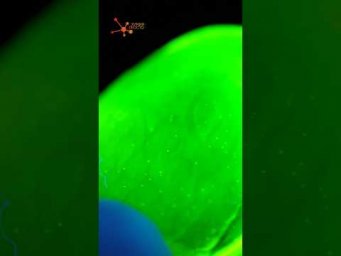 УРАНОВОЕ СЕРДЦЕ ТЕФИТИ. МОАНА