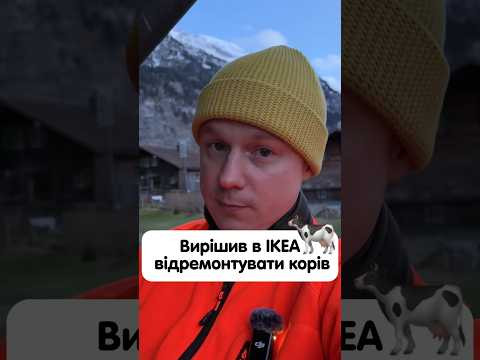 &ldquo;die K&uuml;he&rdquo; та &laquo;die K&uuml;che&raquo; в німецькій мові #німецька #німецькамова #вчительукраїнської