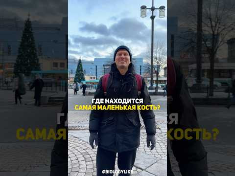 Где же скрывается самая маленькая кость в человеческом теле? Где же скрывается самая маленькая кость в человеческом теле?