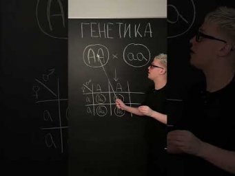 Первый закон Менделя | Биология с Яном