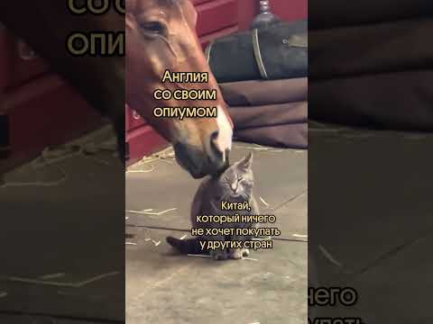 В итоге, прогнули В итоге, прогнули