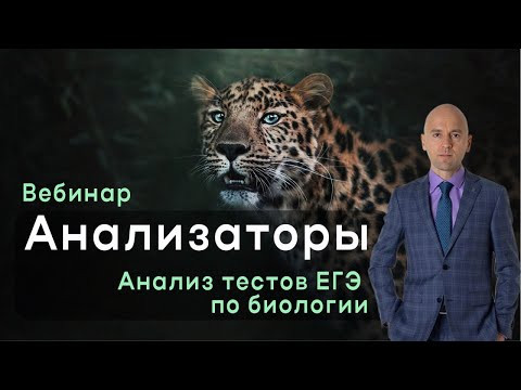 Анализаторы. Важные задания прошлых лет. Анализаторы. Важные задания прошлых лет.
