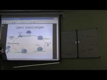 Молекулярная биология. Лекция 8. Часть 2. Никитин Д. М. edit