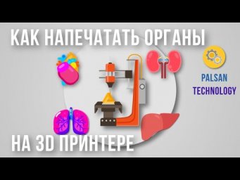 Как Напечатать Органы На 3D Принтере