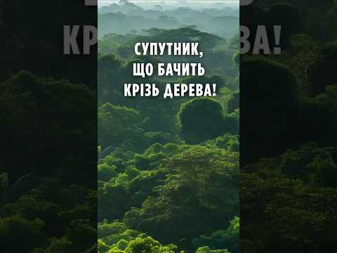 Супутник, що бачить крізь дерева! Biomass змінить наше уявлення про Землю Супутник, що бачить крізь дерева! Biomass змінить наше уявлення про Землю