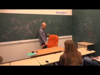 Симпатическая нервная система