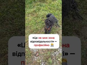Чемна відмова 