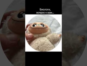 К какому классу относится Лабубу? #биология #егэ2026 #лабубу