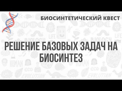 Биосинтетический Квест | Решение базовых задач на биосинтез Биосинтетический Квест | Решение базовых задач на биосинтез