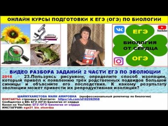 ЗАДАНИЕ ПРО ВИДООБРАЗОВАНИЕ