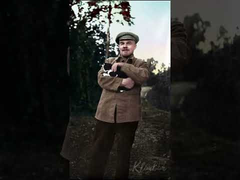 Мечта | #shorts #егэ #егэ2025 #школа #история #жиза