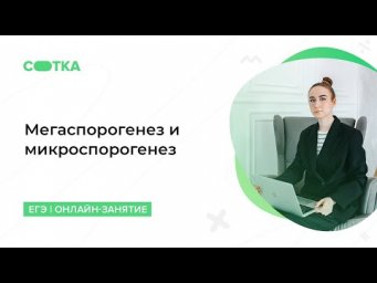Мегаспорогенез и микроспорогенез | ЕГЭ БИОЛОГИЯ 2020 | Онлайн-школа СОТКА