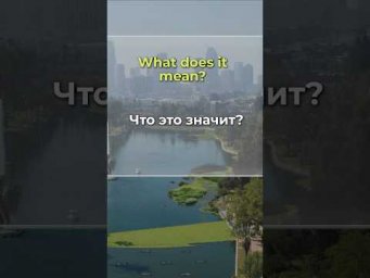 Что сказать на английском, если вы не поняли? Варианты 