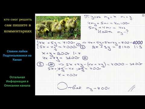 Математика Четыре утенка и пять гусят весят 4 кг 100 г, а пять утят и четыре гусенка весят 4 кг Математика Четыре утенка и пять гусят весят 4 кг 100 г, а пять утят и четыре гусенка весят 4 кг