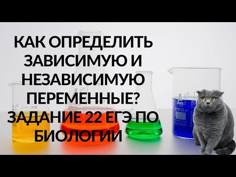Что такое зависимая и независимая переменные? Учимся из определять! ЕГЭ по биологии