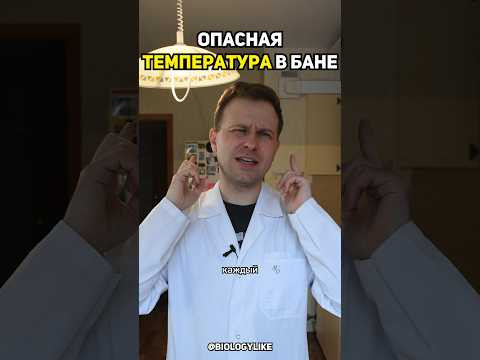 photo photo