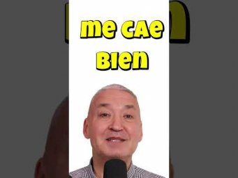 Испанский язык. Конструкция: Me cae bien/mal/fatal#Shorts