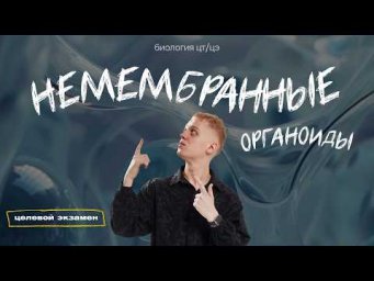 НЕМЕМБРАННЫЕ ОРГАНОИДЫ. ГИАЛОПЛАЗМА, ЦИТОСКЕЛЕТ, РИБОСОМЫ | Целевой экзамен