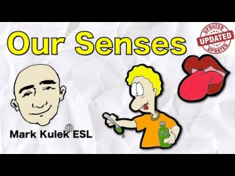 Our Senses - see, hear, taste, touch, smell | Mark Kulek - ESL